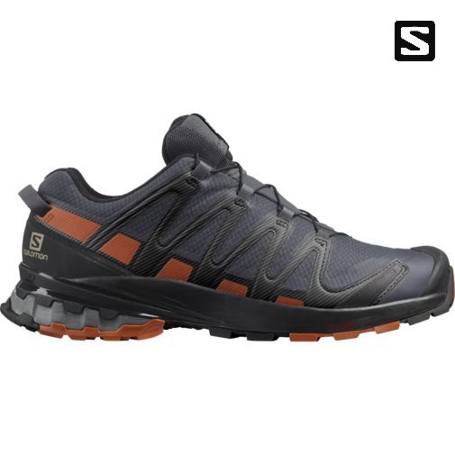 Salomon Xa Pro 3d V8 GTX Trailove Bezecke Tenisky Panske Námornícka Modrá | SK 0VHEAX